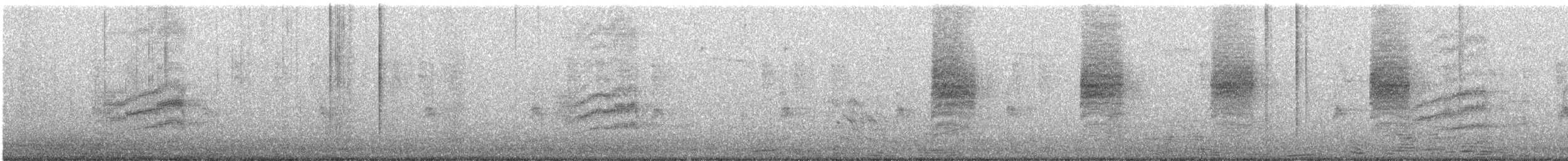 Spotted Towhee (oregonus Group) - ML271578661