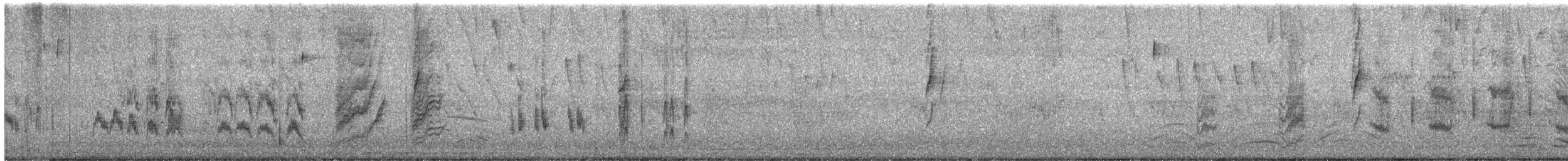Weißbinden-Spottdrossel - ML271580871