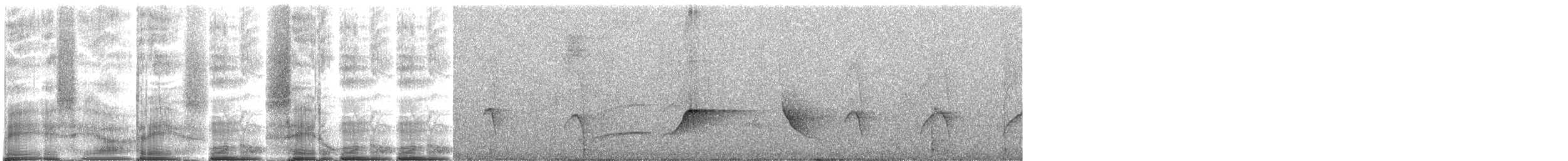 Светлобрюхий тиранн-плакса - ML271609