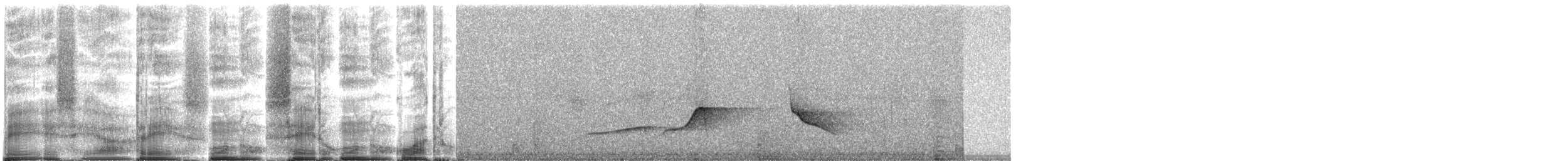 Светлобрюхий тиранн-плакса - ML271612