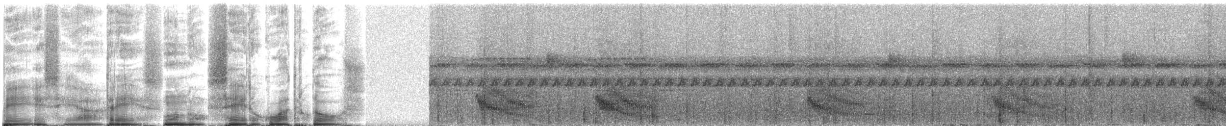 Rotspiegel-Ameisenvogel - ML271640