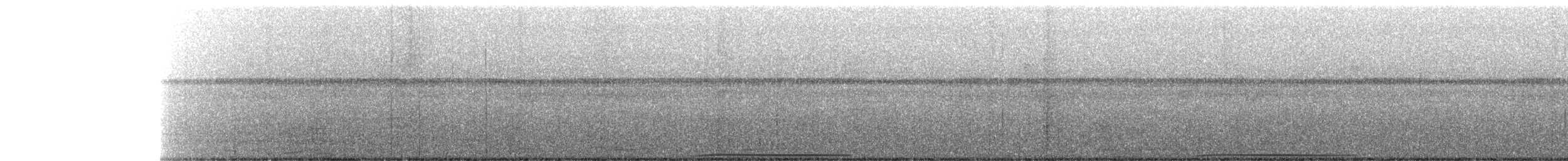 Spotted Buttonquail - ML271650271