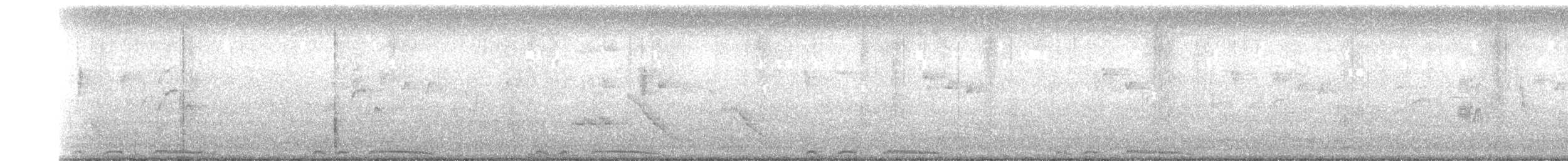 珠頸斑鳩 - ML271716571