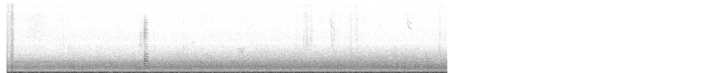 Казарка мала (підвид leucopareia) - ML271750581