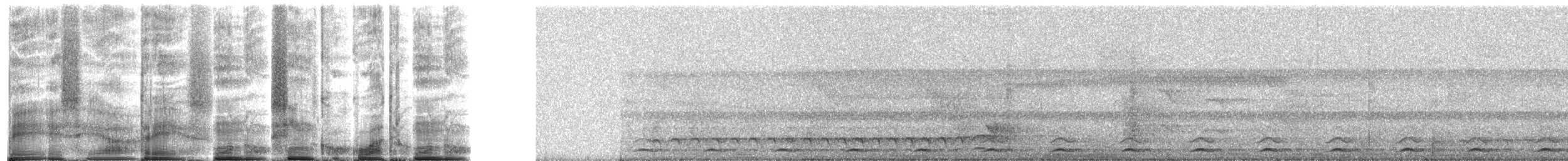 Black-tailed Trogon - ML271983