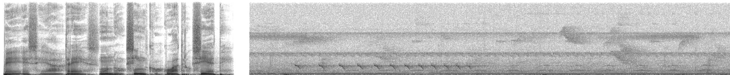 Black-tailed Trogon - ML271989