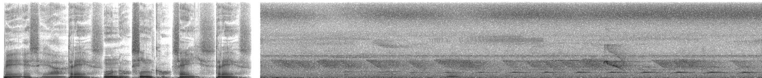 Black-tailed Trogon - ML272004