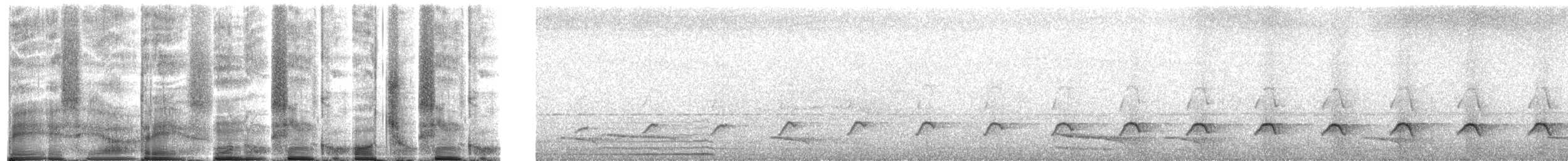 Лінивка-коротун сіродзьоба - ML272026