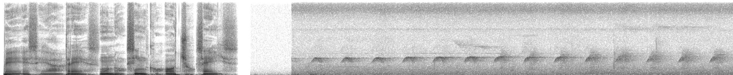 Лінивка-коротун сіродзьоба - ML272027