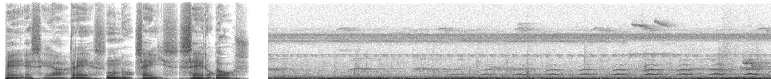 Black-tailed Trogon - ML272043