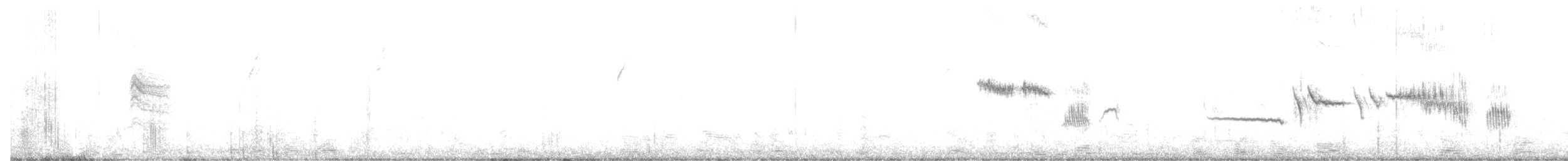 Bruant à couronne blanche (gambelii) - ML272052051