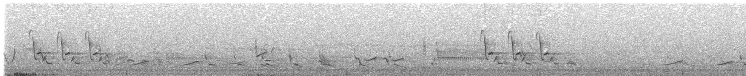 pipilo rudooký - ML27205361