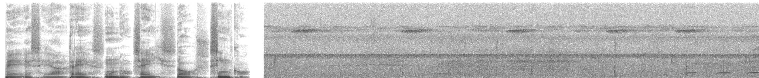 Black-tailed Trogon - ML272066