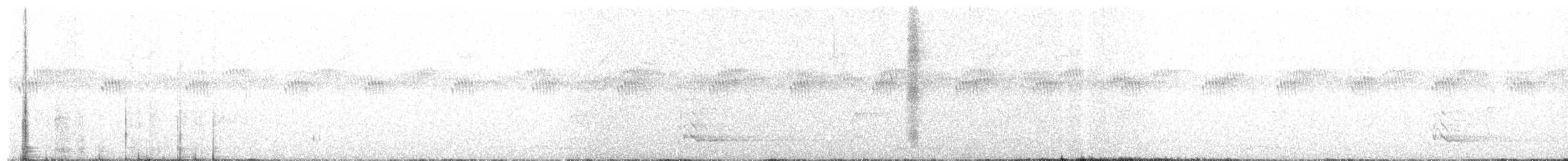 Spotted Quail-thrush - ML272072601