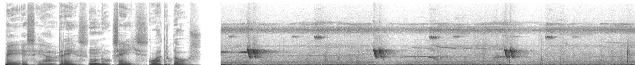 Buff-breasted Wren - ML272082