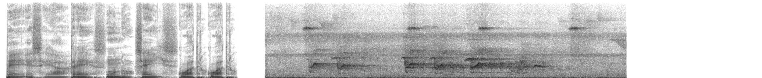 parrot sp. - ML272084