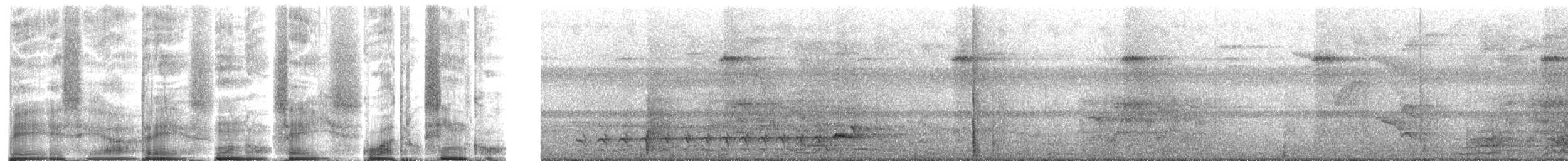 Black-crowned Antshrike - ML272085