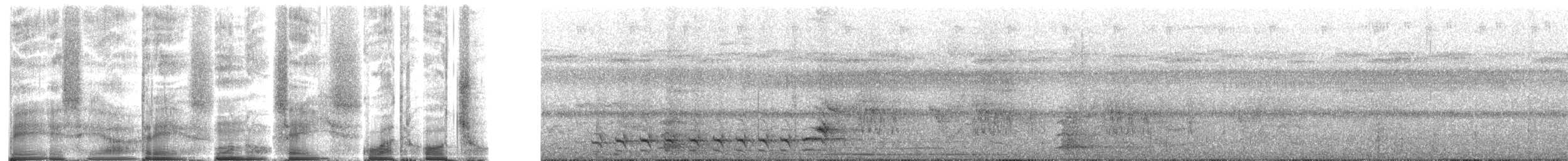 Black-crowned Antshrike - ML272088