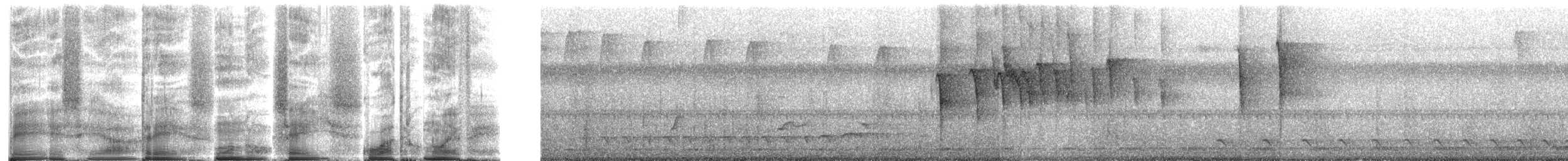 Cotton-headed Tamarin - ML272089