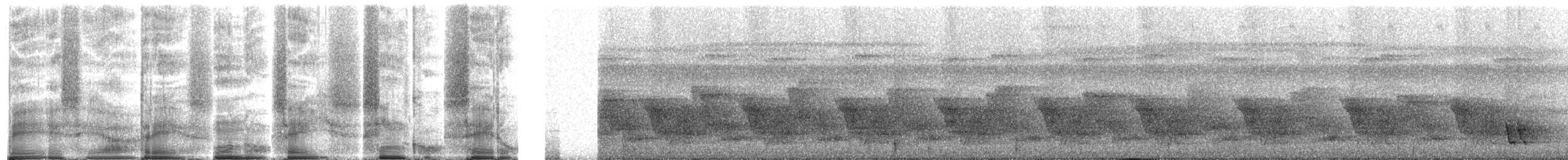 Buff-breasted Wren - ML272090