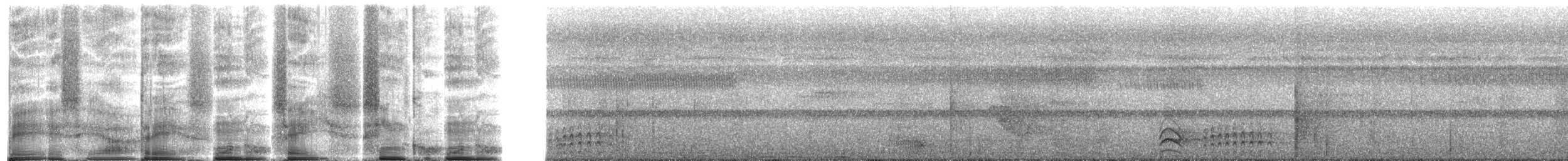 Black-crowned Antshrike - ML272091