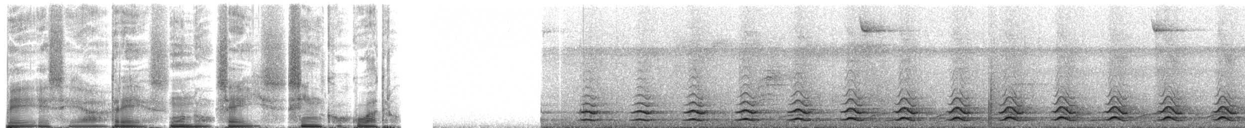 Black-tailed Trogon - ML272094