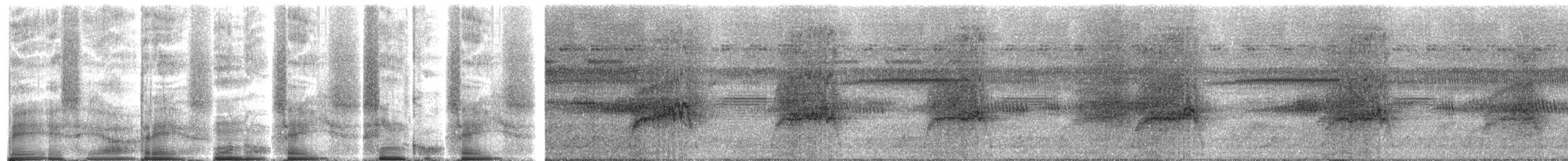 American Barn Owl - ML272096