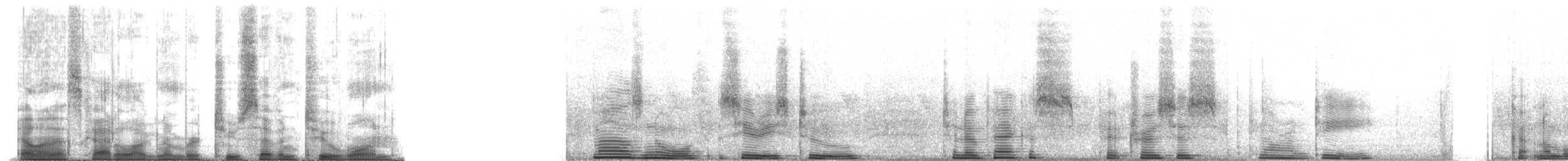 Stone Partridge - ML2721