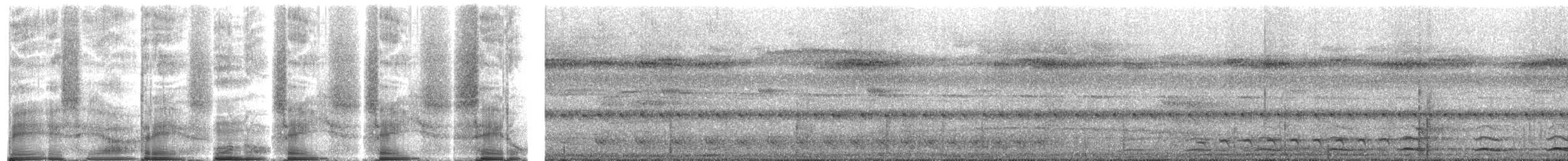 Black-tailed Trogon - ML272100