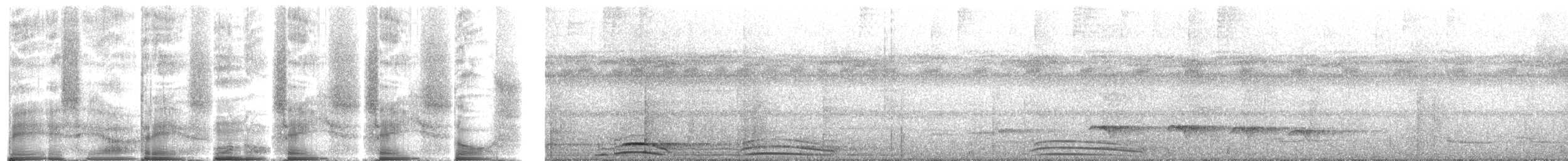 Collared Forest-Falcon - ML272102