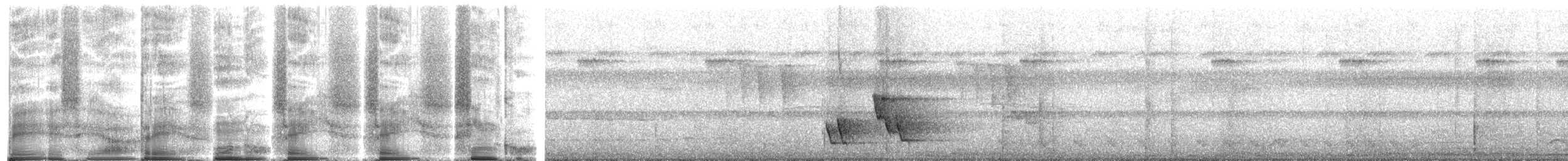 Buff-breasted Wren - ML272105