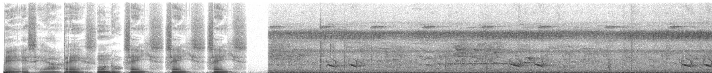 new world trogon sp. - ML272106