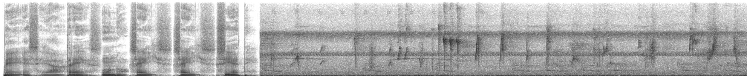 hummingbird sp. - ML272107