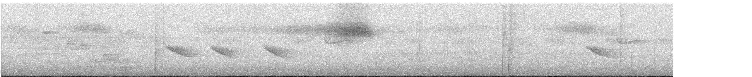 new world flycatcher sp. - ML272243