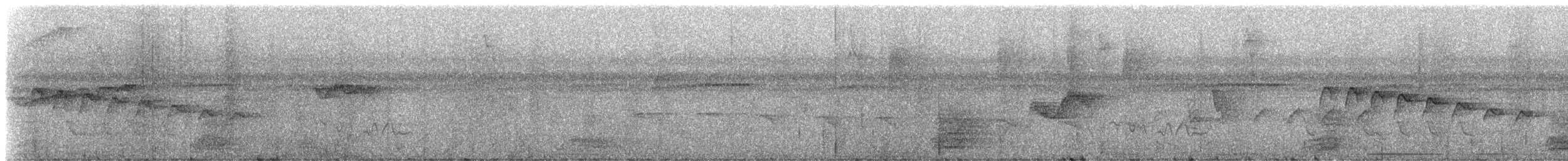 krattmyggsmett (plumbiceps/anteocularis) - ML272350