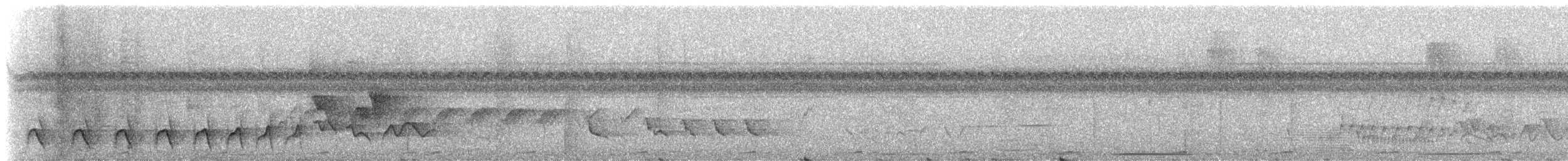 svarttoppmaurvarsler (canadensis gr.) - ML272351