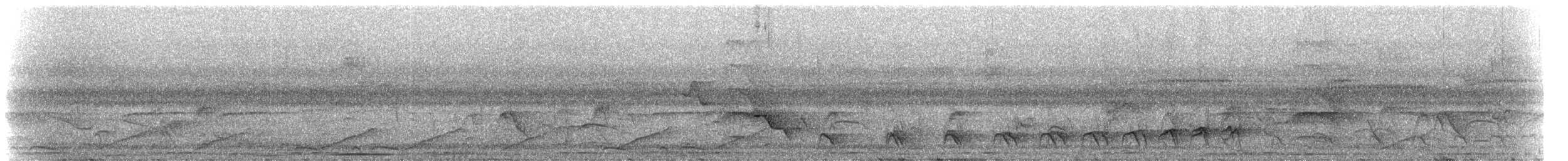 svarttoppmaurvarsler (canadensis gr.) - ML272362