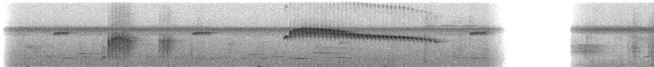 Braunbauch-Ameisenschlüpfer - ML272385