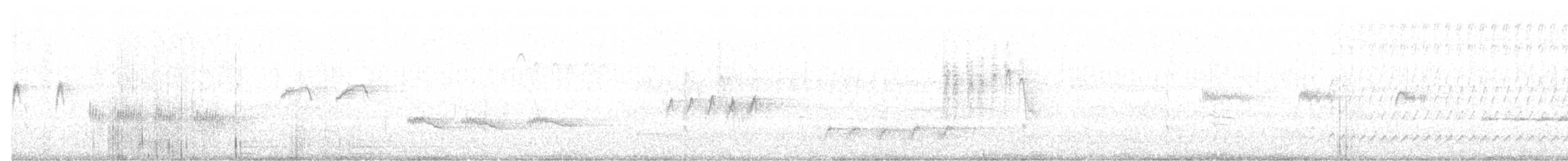 Mirlo Acuático Norteamericano - ML272393851