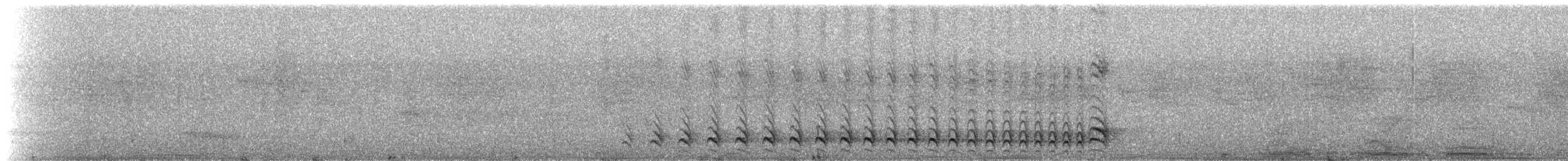 Şeritli Karıncaavcısı [doliatus grubu] - ML272457