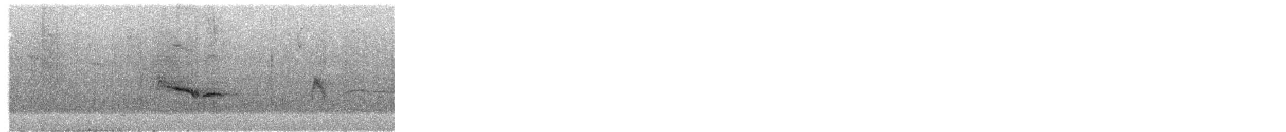 Tumbesschnäppertyrann - ML272468441