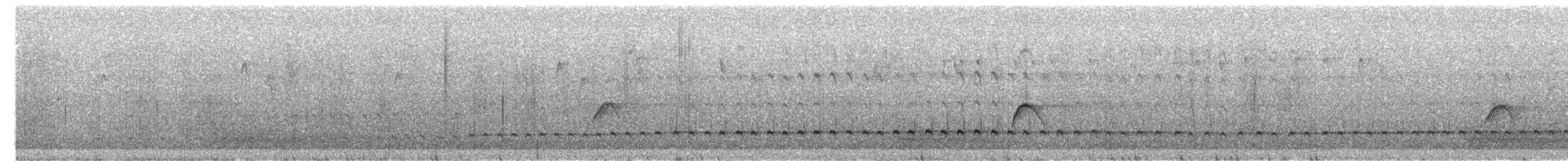 Tyrannine Woodcreeper - ML272475451