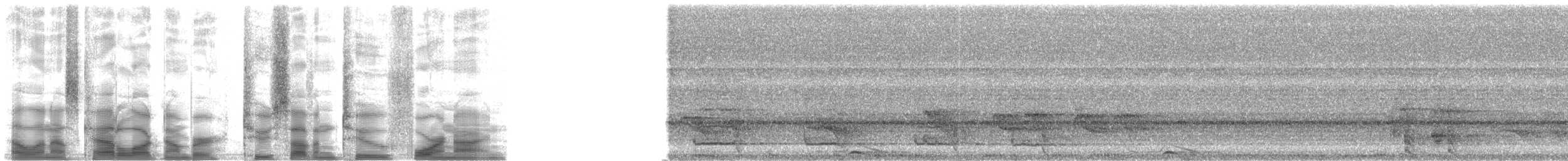 Mottled Owl (Mottled) - ML27249