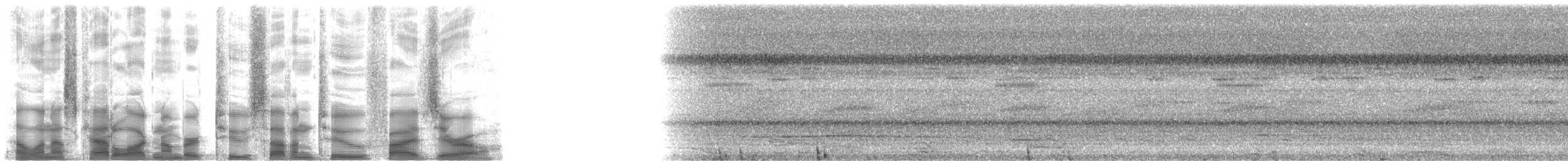 Mottled Owl (Mottled) - ML27250