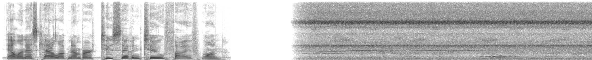 Little Tinamou - ML27251