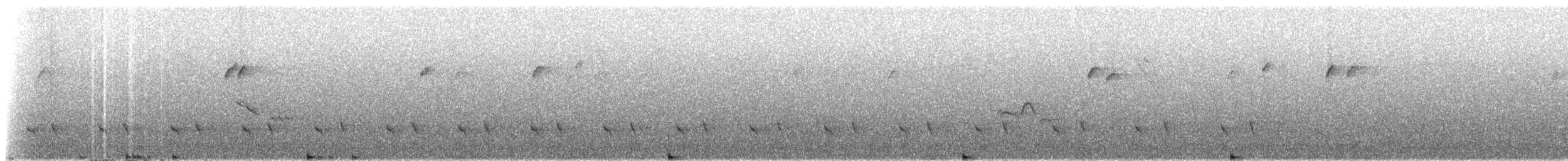 Mérulaxe microptère - ML272514