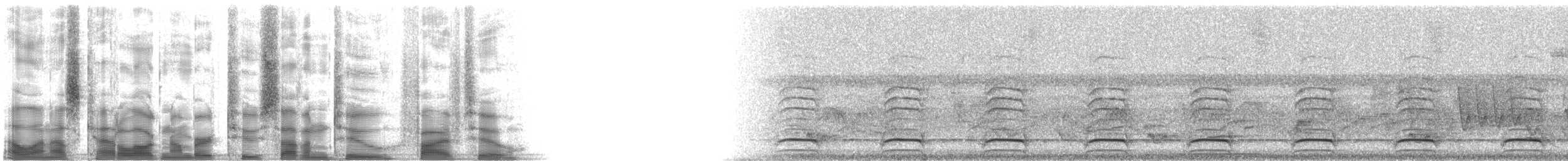 Laughing Falcon - ML27252