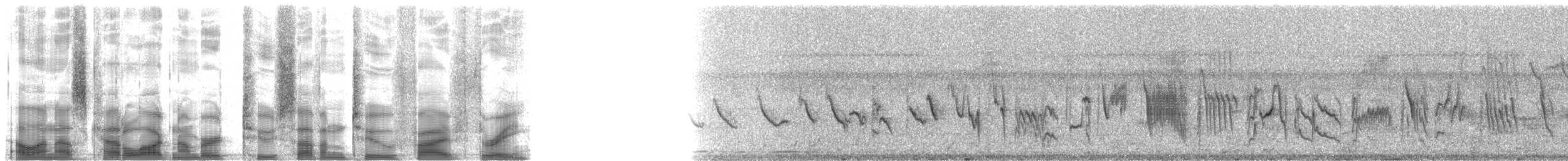 Thick-billed Seed-Finch - ML27253