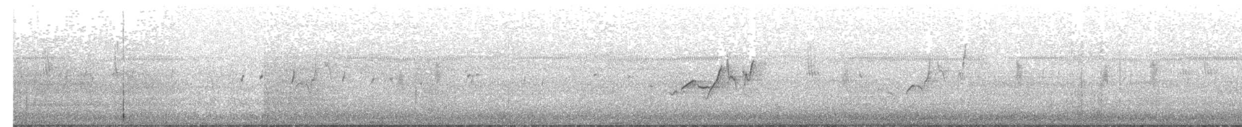 Stutzschnabel - ML272537711