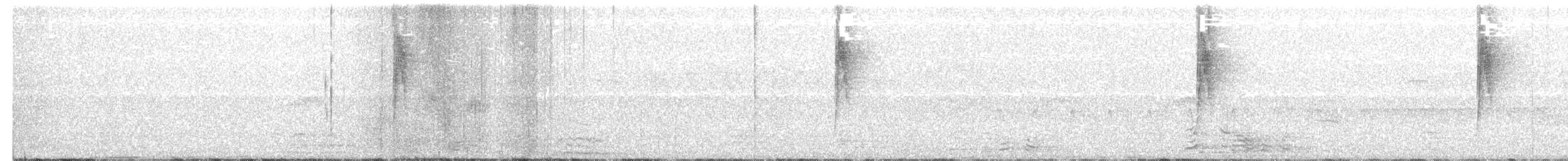 Damalı Karıncakuşu - ML272538491